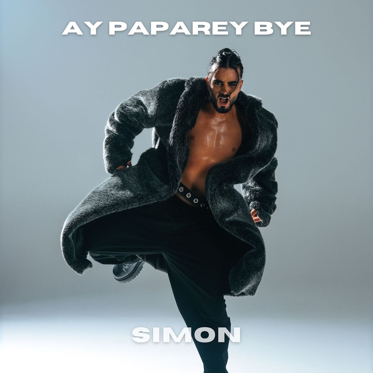 Album cover of Ay Paparey Bye