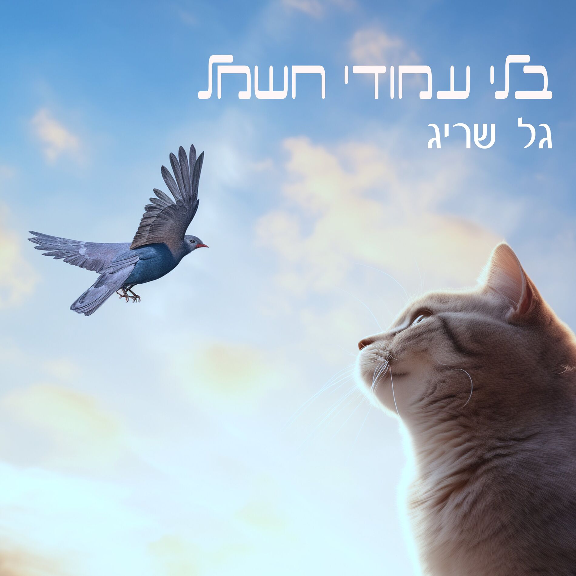 Album cover of בלי עמודי חשמל