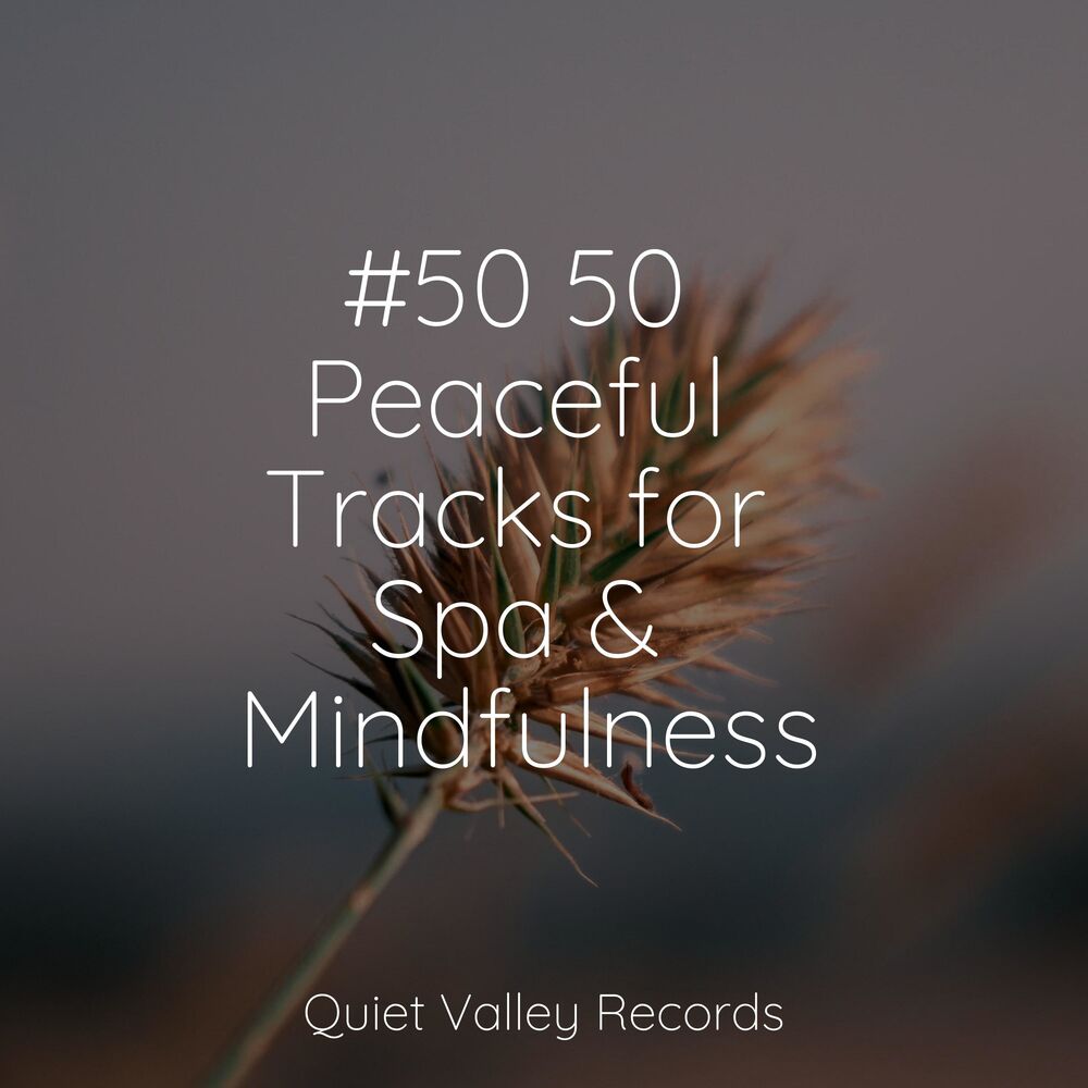 Picture of #50 50 Peaceful Tracks for Spa & Mindfulness
