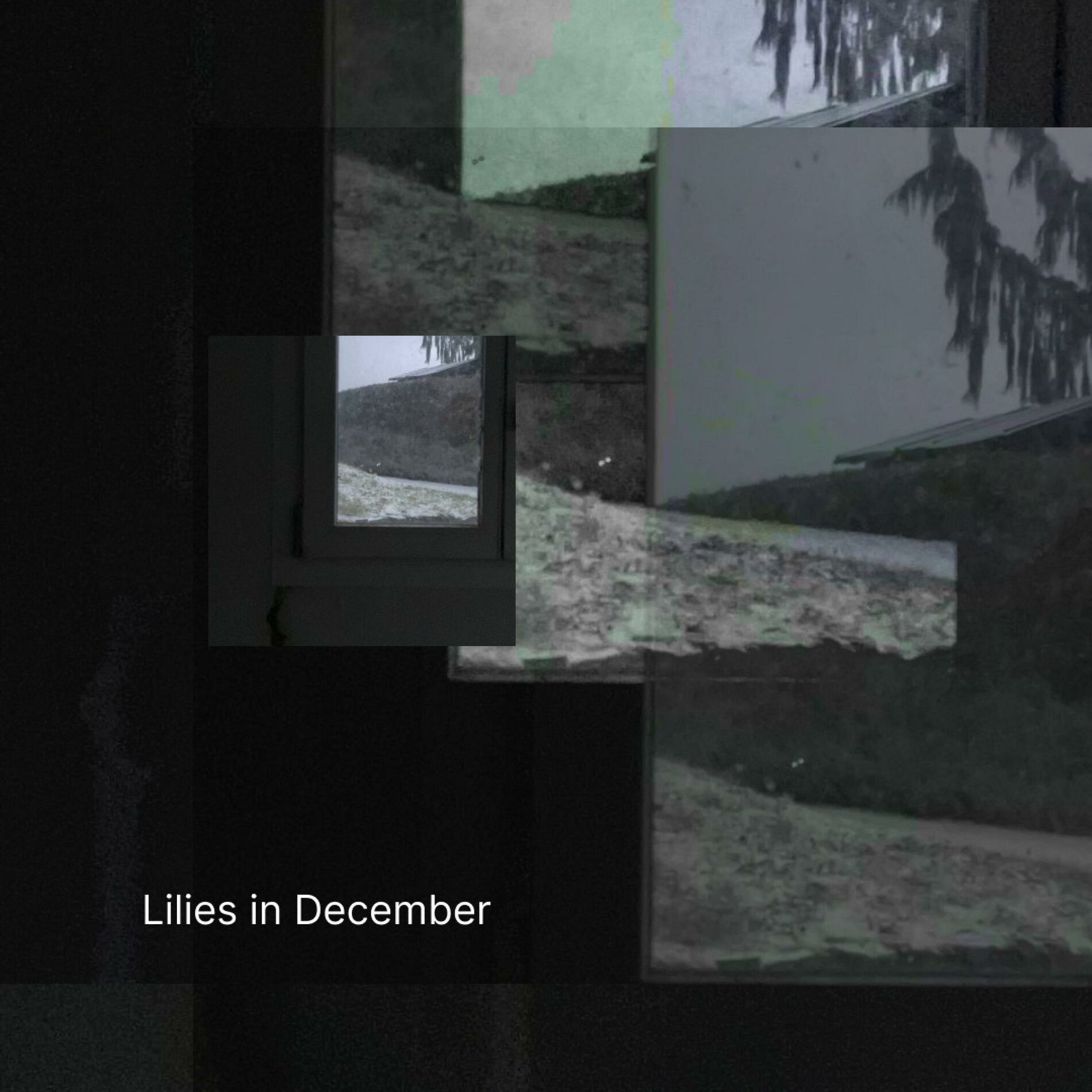 Album cover of Lilies in December