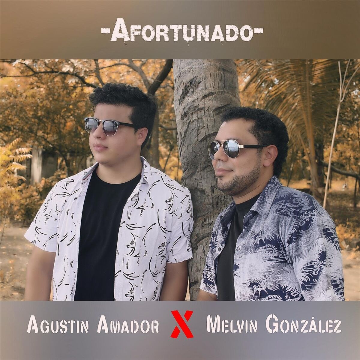 Album cover of Afortunado