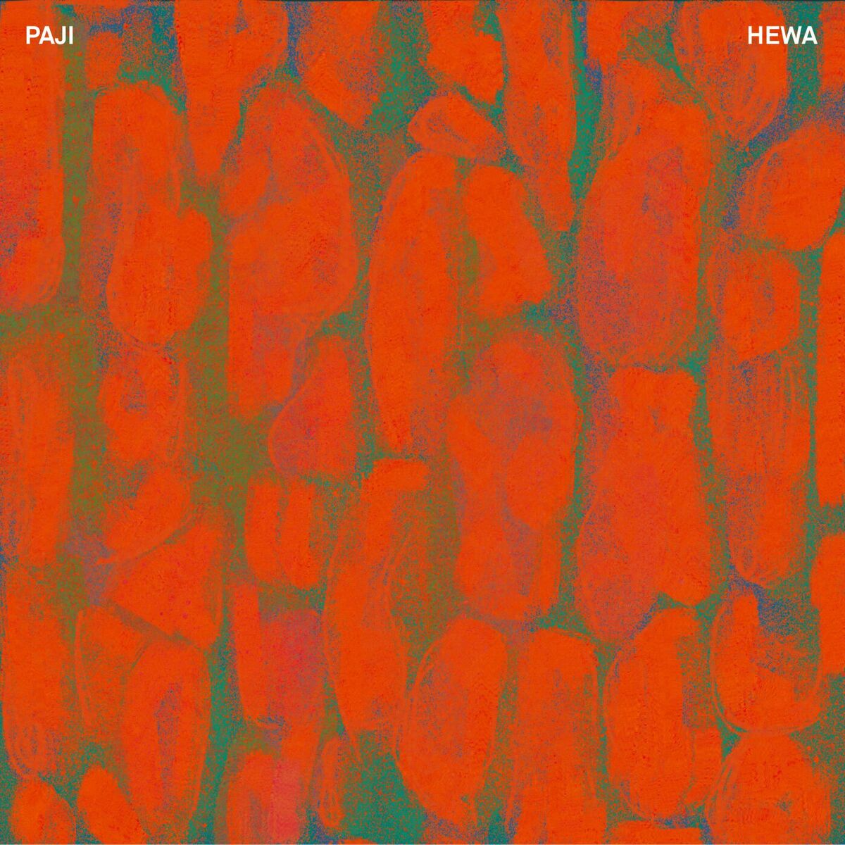 Album cover of Hewa