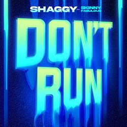 Cover of Don't Run (feat. Skinny Fabulous)