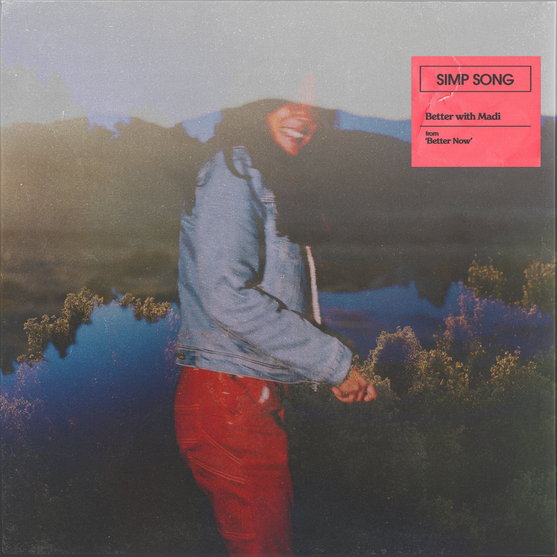 Album cover of Simp Song