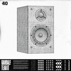 Cover of Tear It