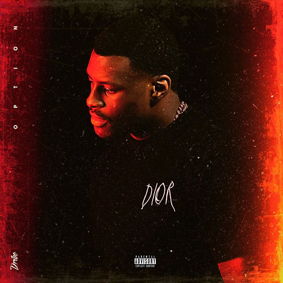 Album cover of Option