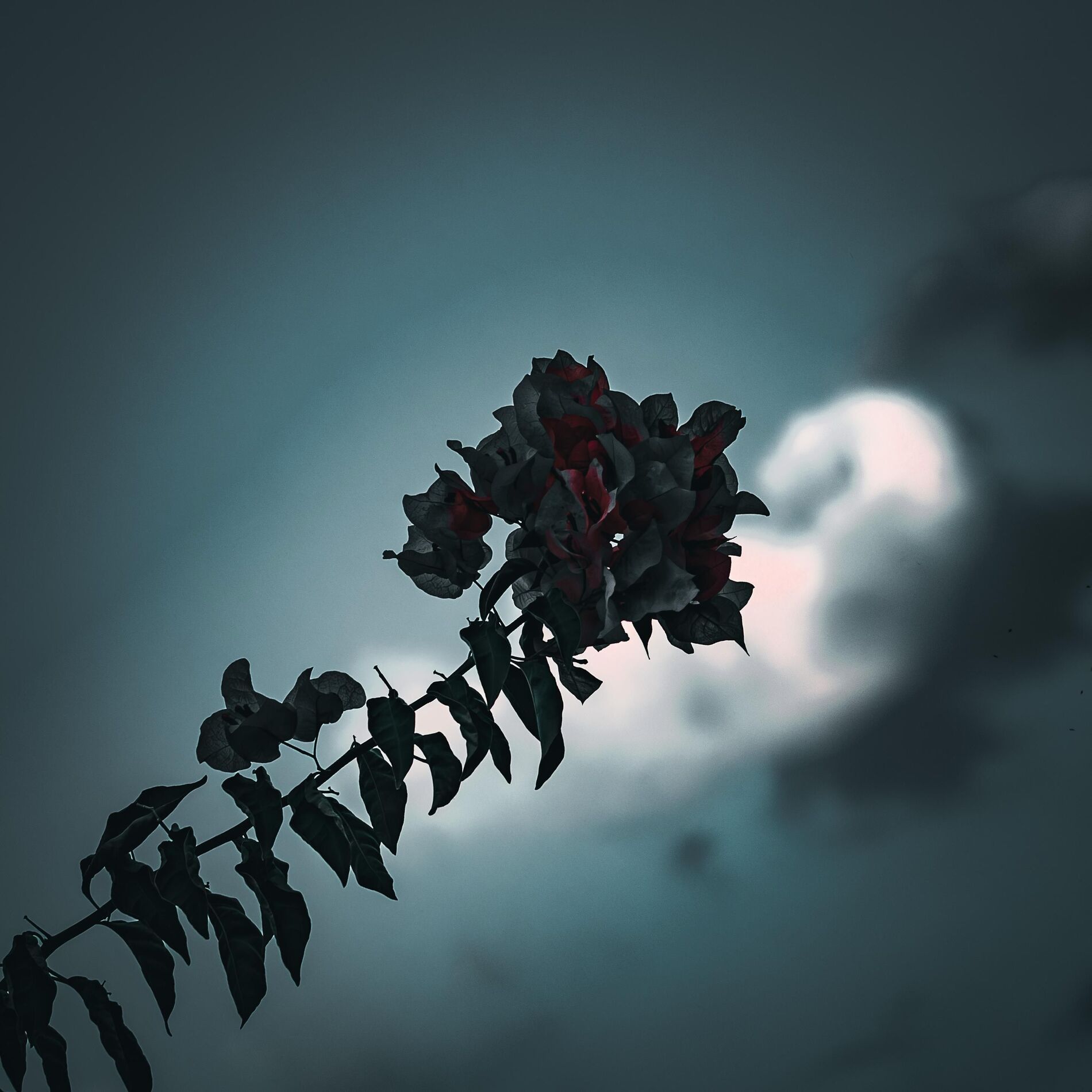 Album cover of Idea 12