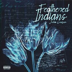 Cover of Feathered Indians