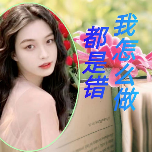 我怎么做都是错 (升调版)