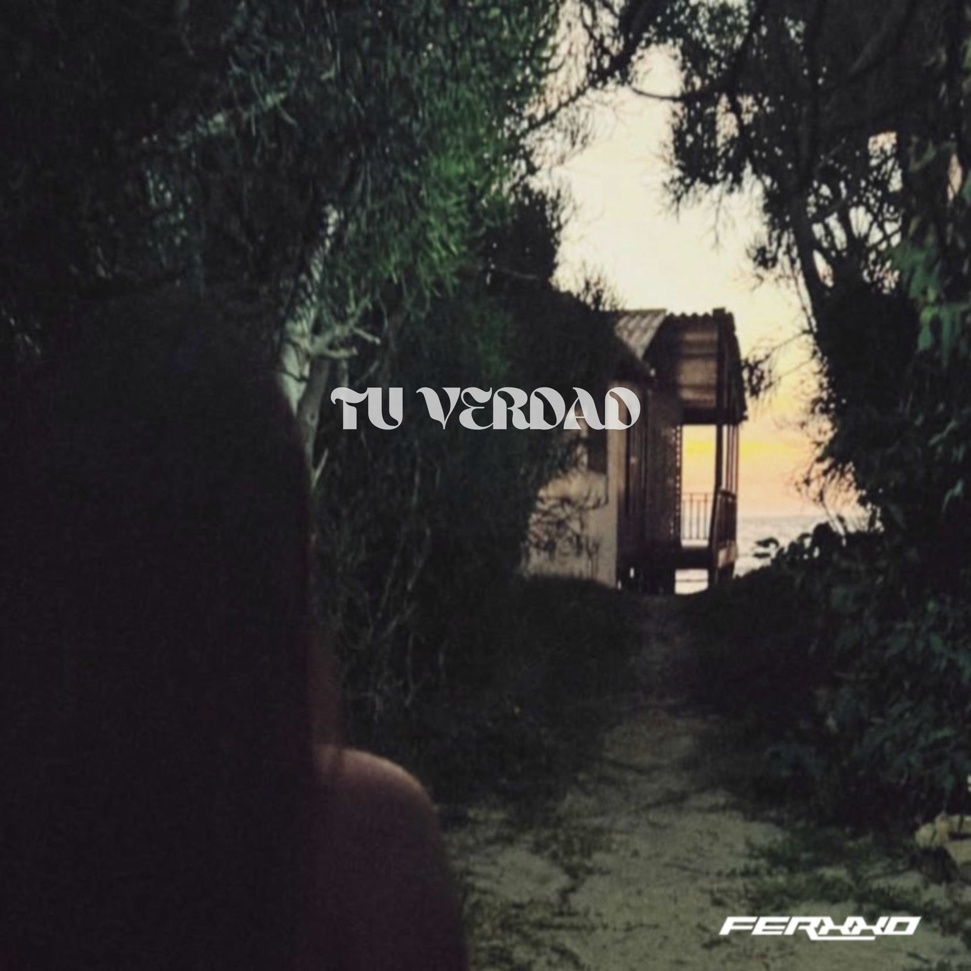 Album cover of Tu Verdad