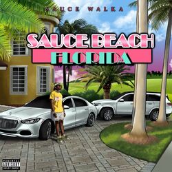 Cover of Sauce Beach Florida