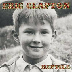 Cover of Reptile