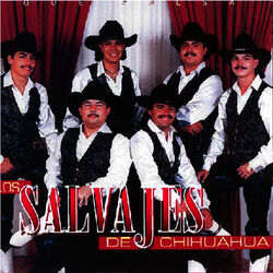 Cover of Que Falsa