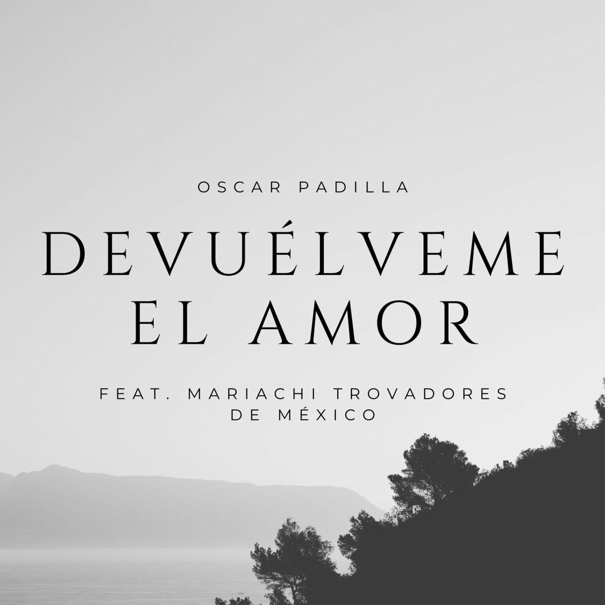 Album cover of Devuélveme el Amor