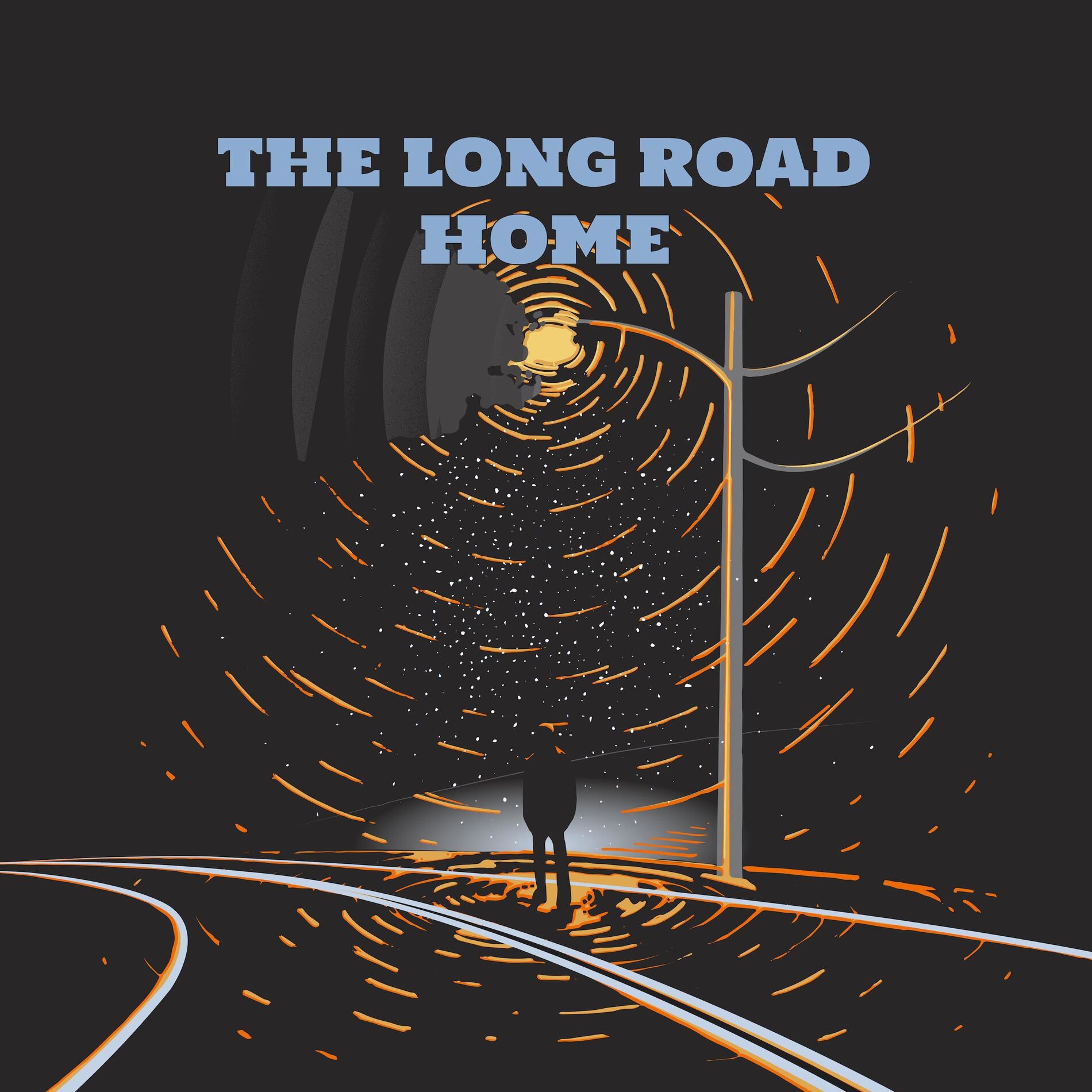 Album cover of The Long Road Home