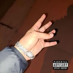 Cover of SUELtA