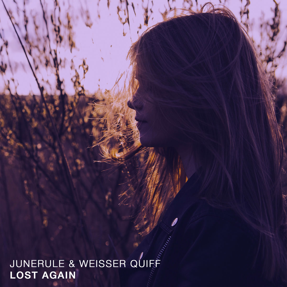 Album cover of Lost Again