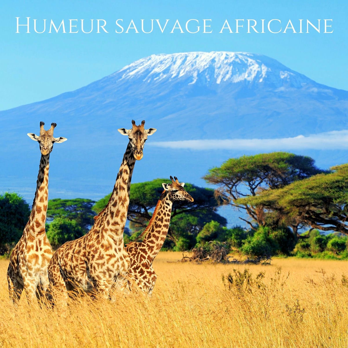 Album cover of Humeur sauvage africaine: Nature et sons de batterie