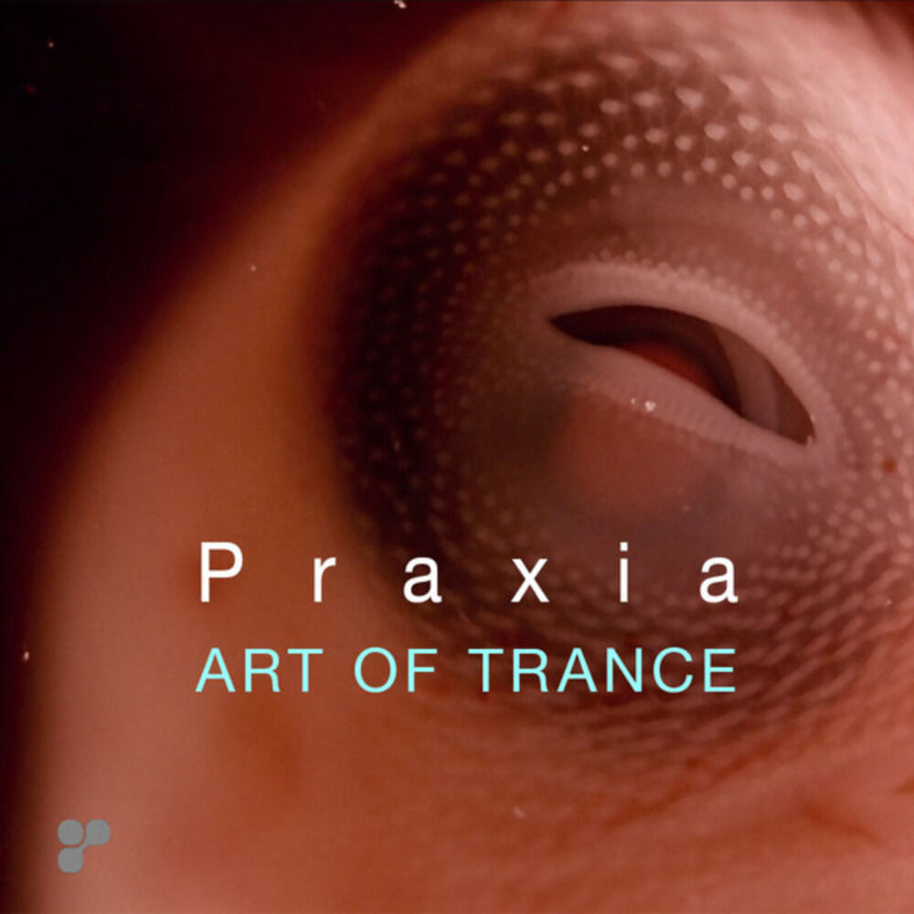 Picture of Praxia