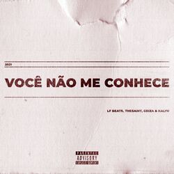 Cover of Você Não Me Conhece