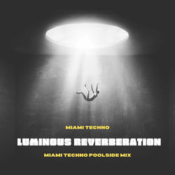 Cover of Luminous Reverberation by undefined