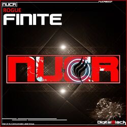 Cover of Finite
