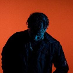 Cover of Blush