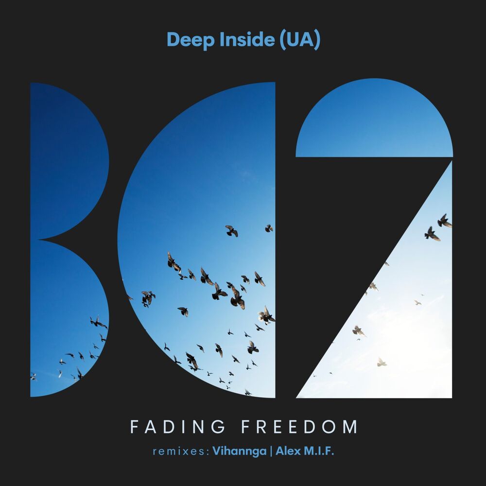 Picture of Fading Freedom