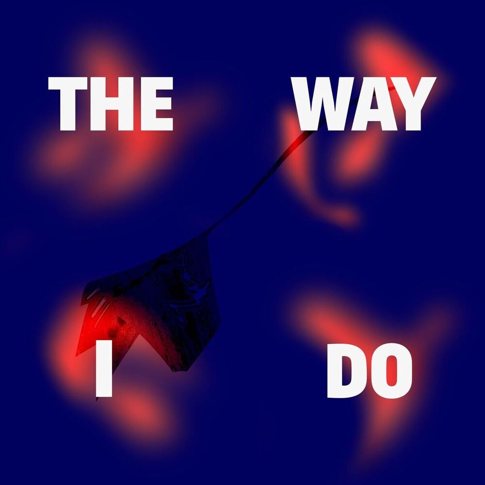 Picture of The Way I Do (feat. Petra Nachtmanova & Ceyhun Kaya)