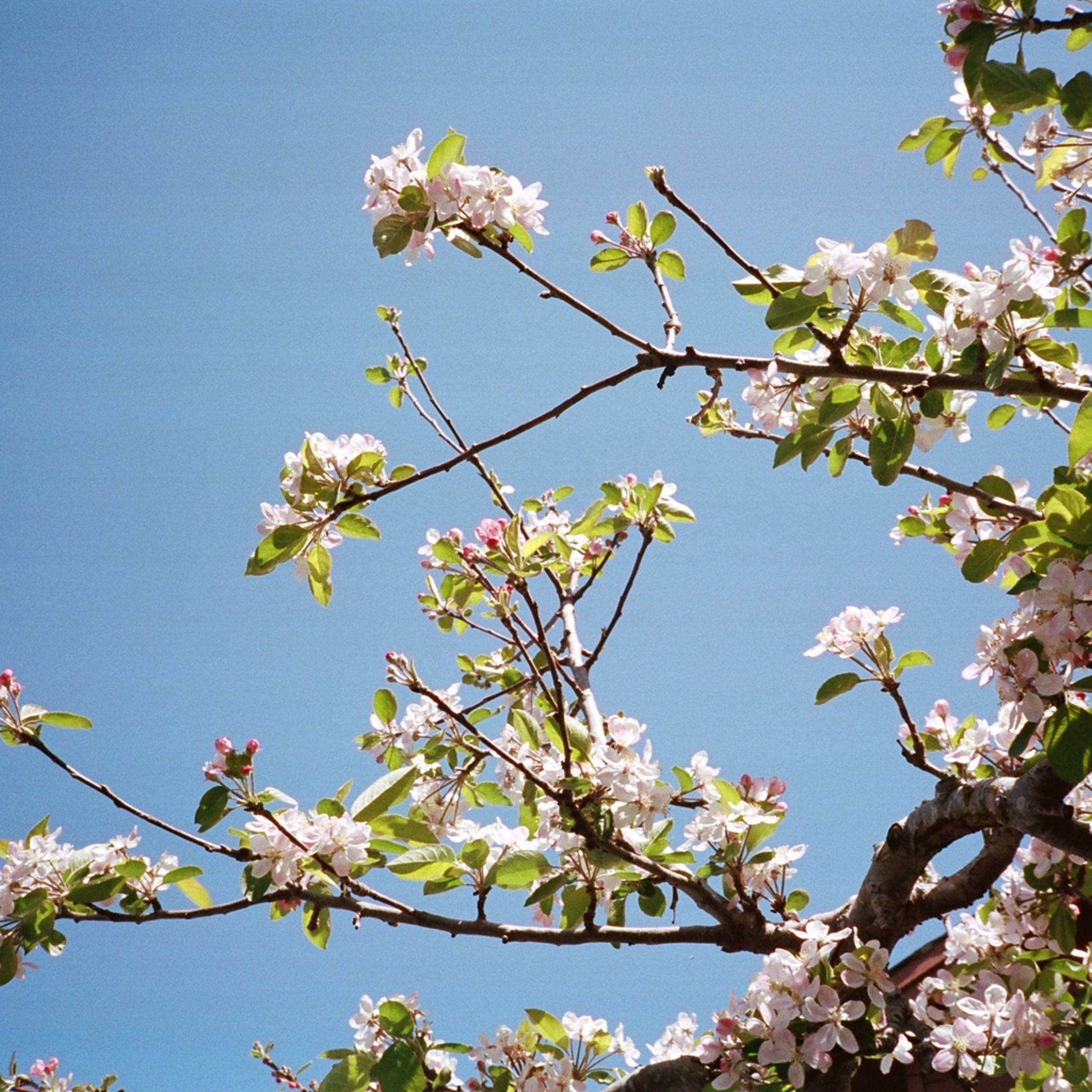 Album cover of Breeze (feat. Cloudchord)