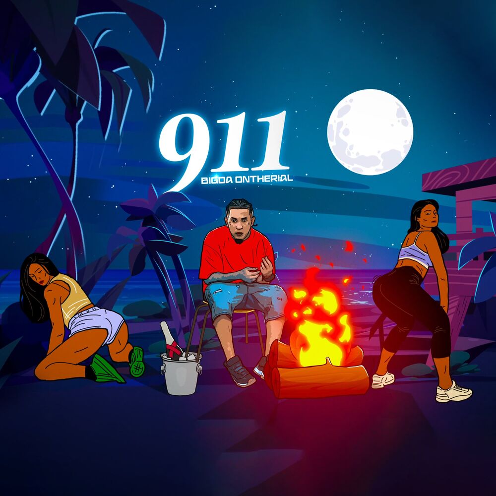 Picture of 911