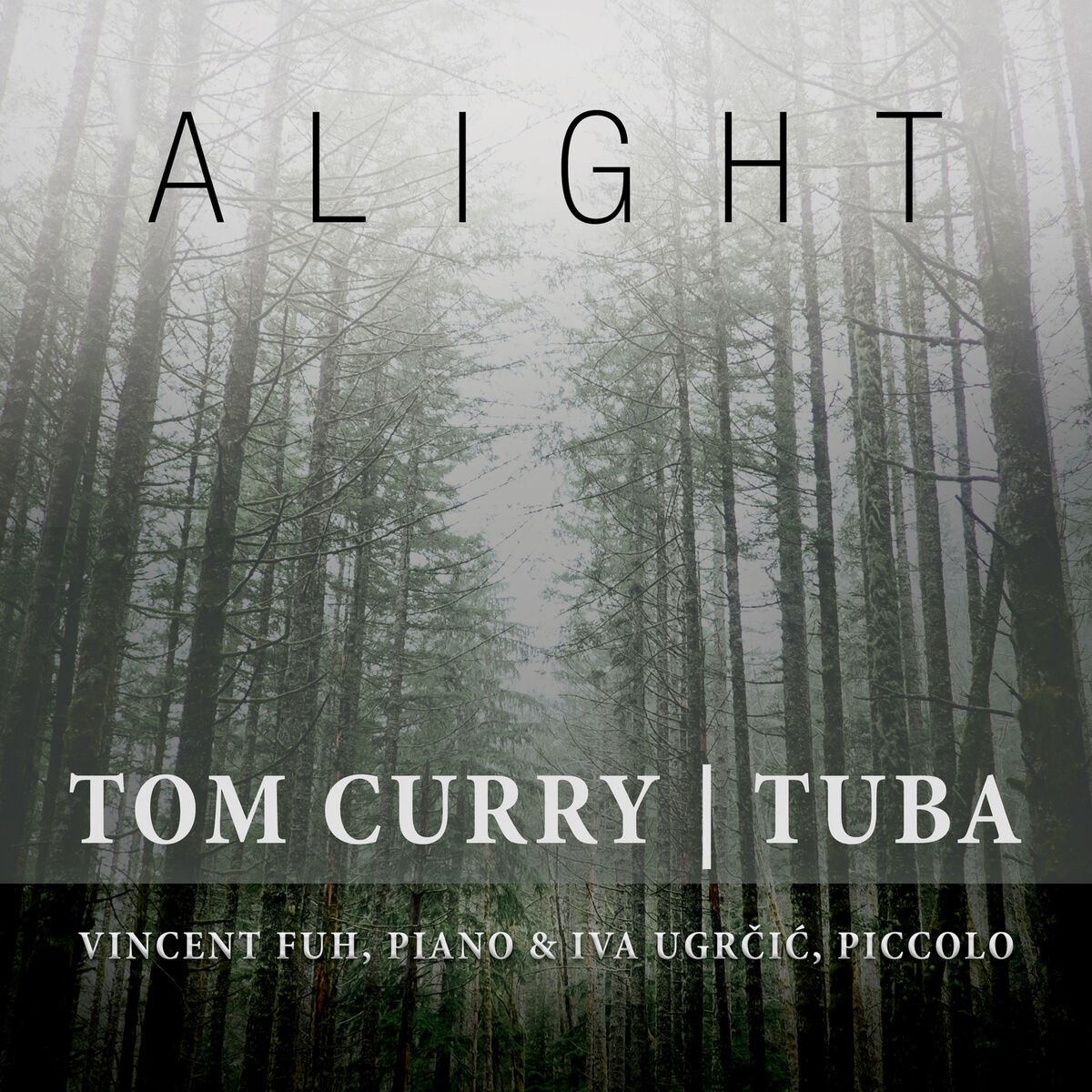 Album cover of Alight