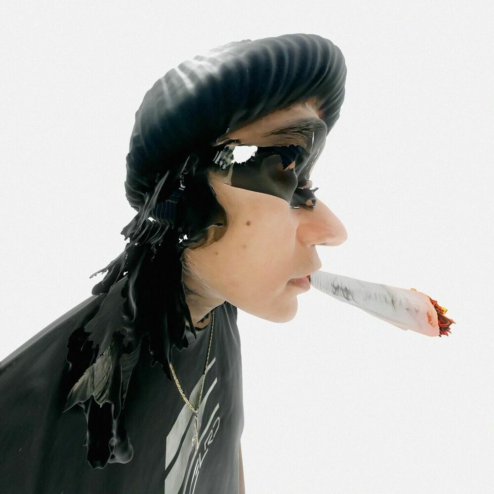 Picture of Stoner