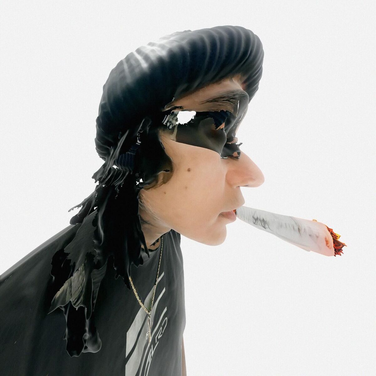 Album cover of Stoner