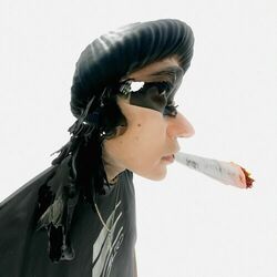 Cover of Stoner