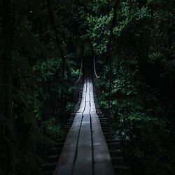 Cover of Sasquatch (Hybridohm Remix)
