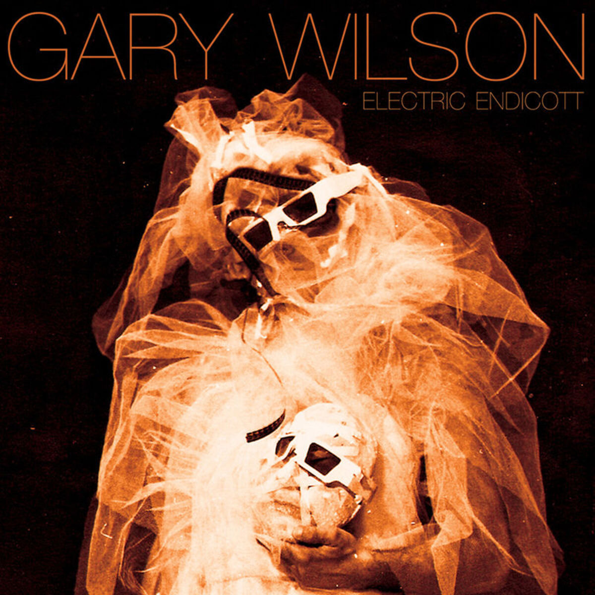 Album cover of Electric Endicott
