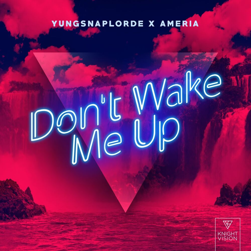 Picture of Don't Wake Me Up