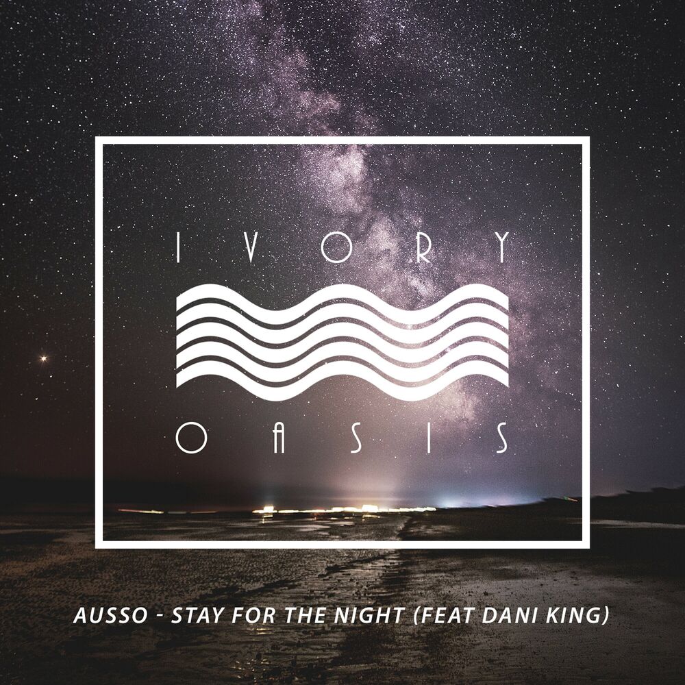 Picture of Stay for the Night