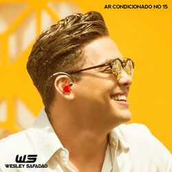 Cover of Ar Condicionado no 15 (Ao Vivo)