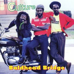 Cover of Baldhead Bridge