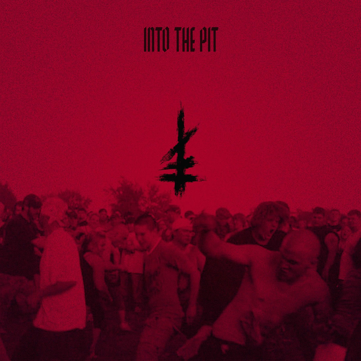 Album cover of Into The Pit