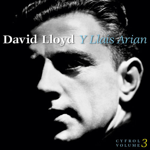 Y Llais Arian (Cyfrol 3 / Volume 3) sleeve