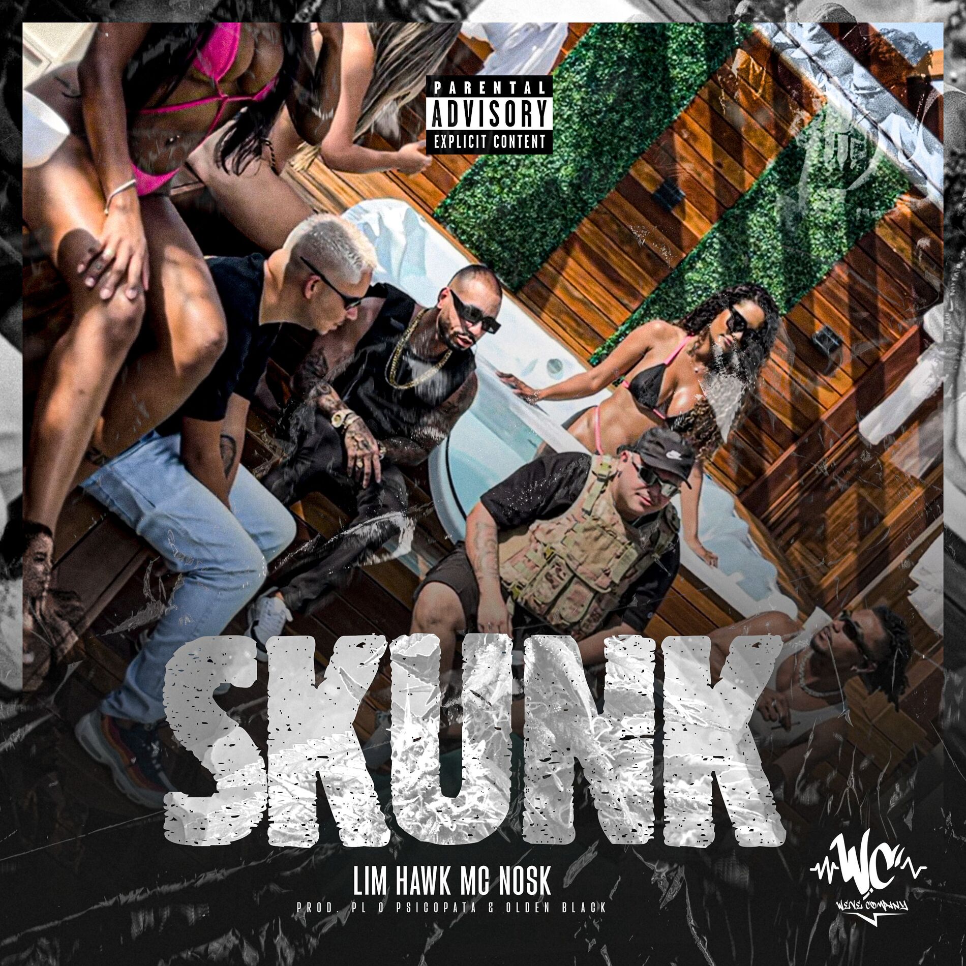 Album cover of Skunk