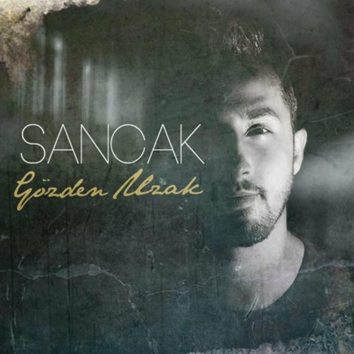 Album cover of Bana Kendimi Ver