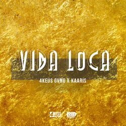 Cover of Vida Loca