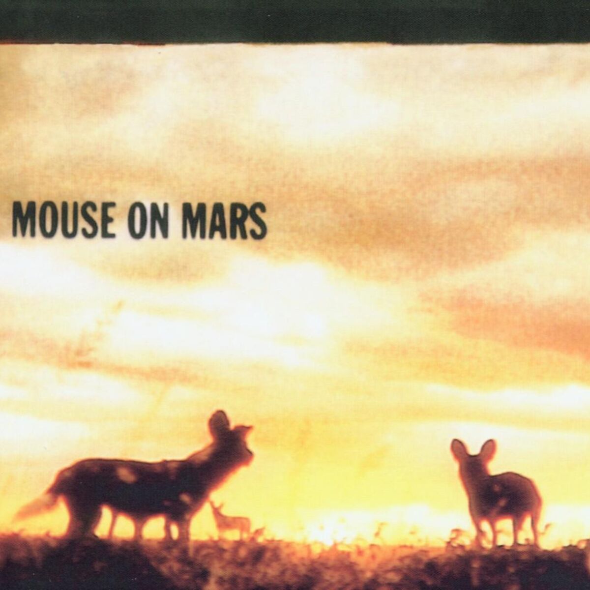 Album cover of Glam