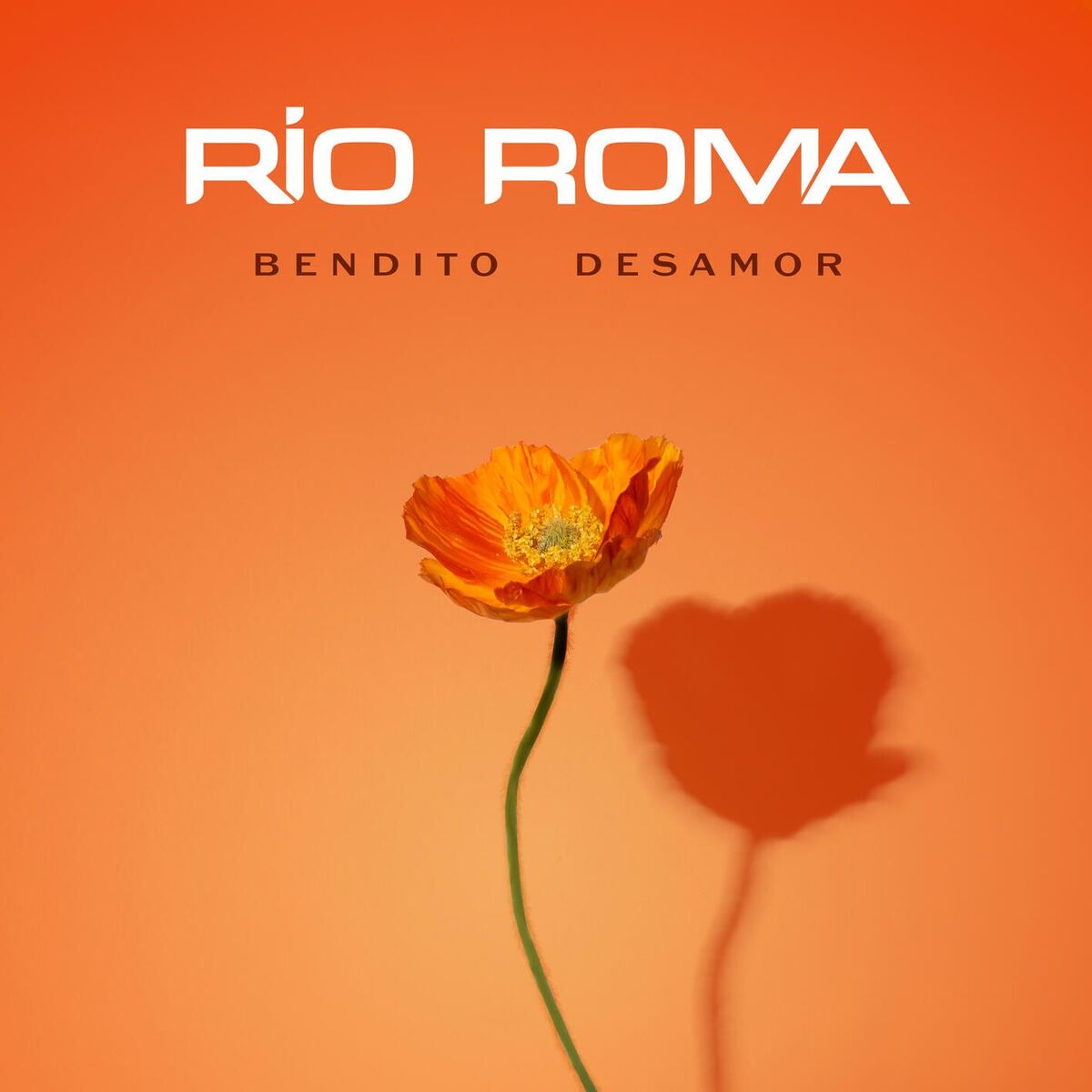 Album cover of Bendito Desamor