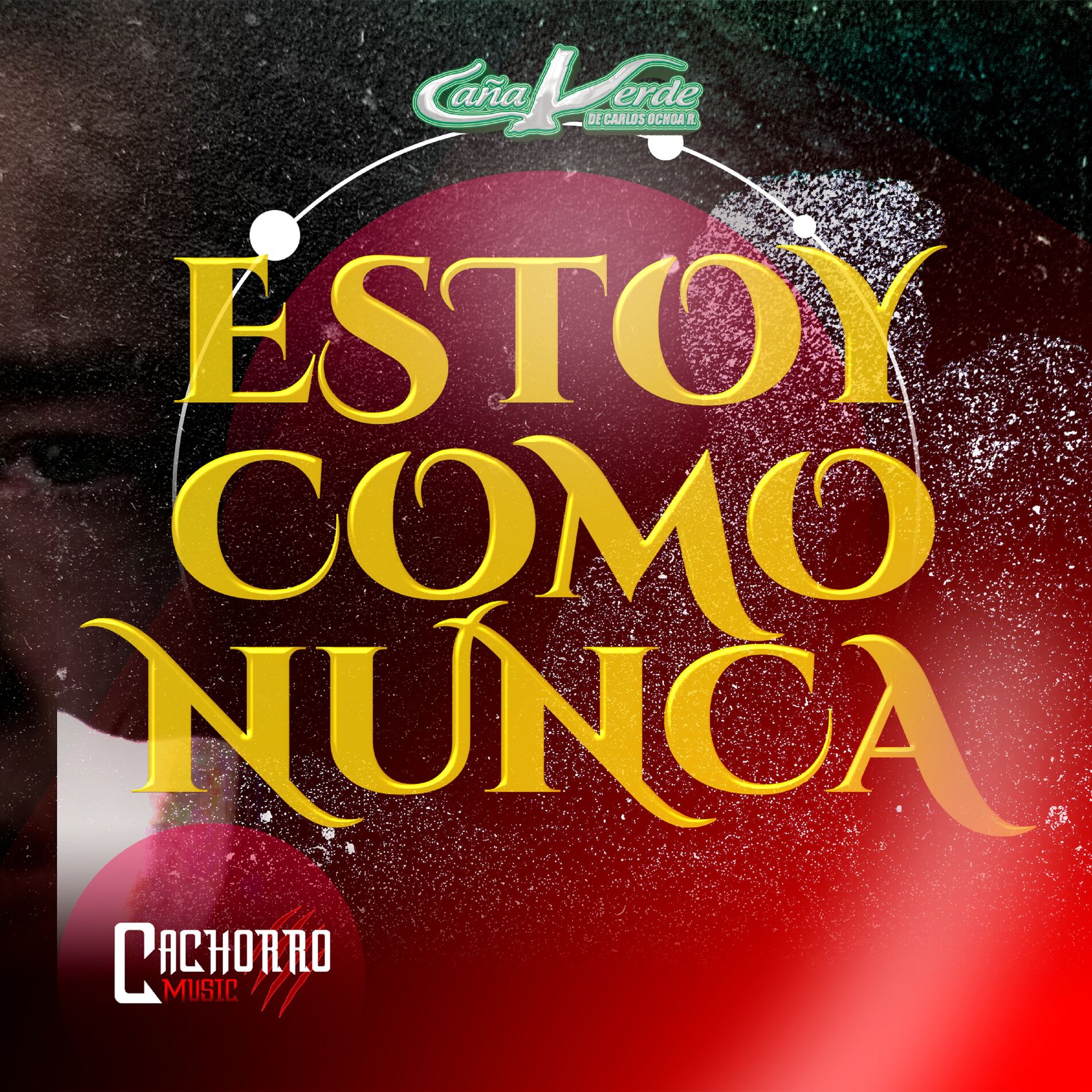 Album cover of Estoy Como Nunca