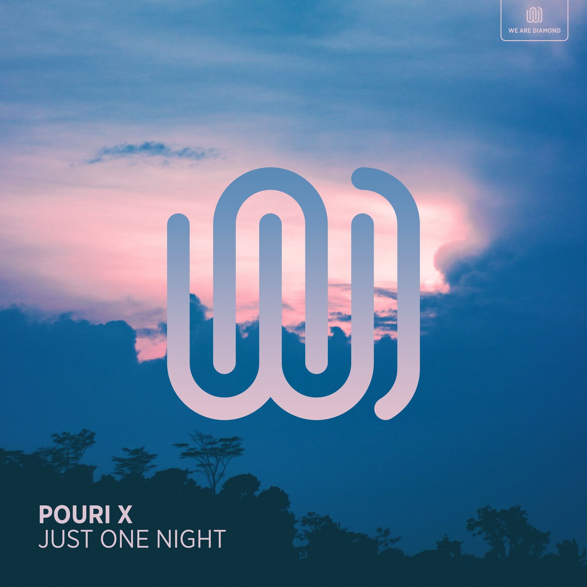 Album cover of Just One Night